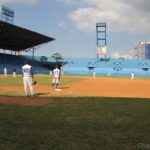IMG_4199 IMG_4199